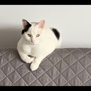 Meet your Posher, Celine